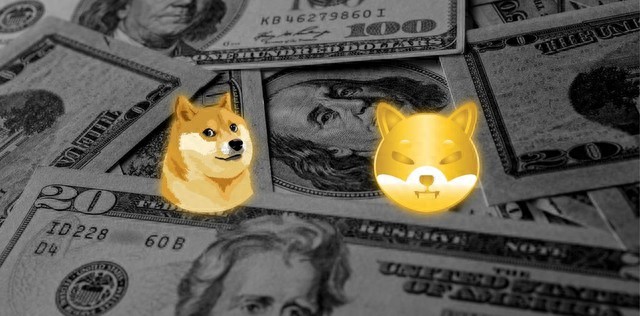 狗狗币（DOGE）崛起：是泡沫还是新机遇？