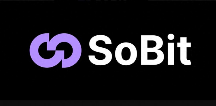 Sobit引领潮流：BRC20资产翱翔Solana，重新定义比特币铭文市场！