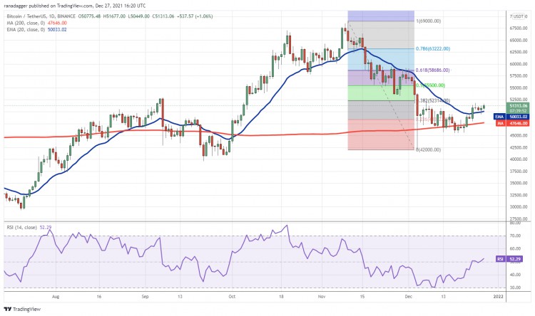 分析：BTC、ETH、BNB、SOL、ADA、XRP、LUNA、AVAX、DOT、DOGE