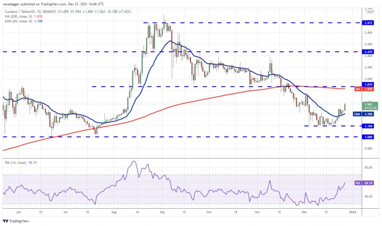 分析：BTC、ETH、BNB、SOL、ADA、XRP、LUNA、AVAX、DOT、DOGE